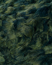 Load image into Gallery viewer, COASTAL STUDY Nº 007.22
