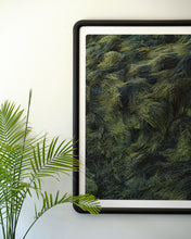Load image into Gallery viewer, COASTAL STUDY Nº 007.22
