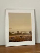 Load image into Gallery viewer, STEAMING FOR LOBSTERS
