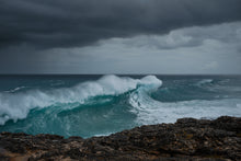 Load image into Gallery viewer, WINTER IS COMING
