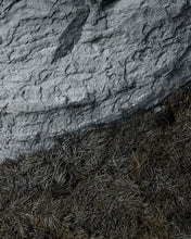 Load image into Gallery viewer, COASTAL STUDY Nº 004.20
